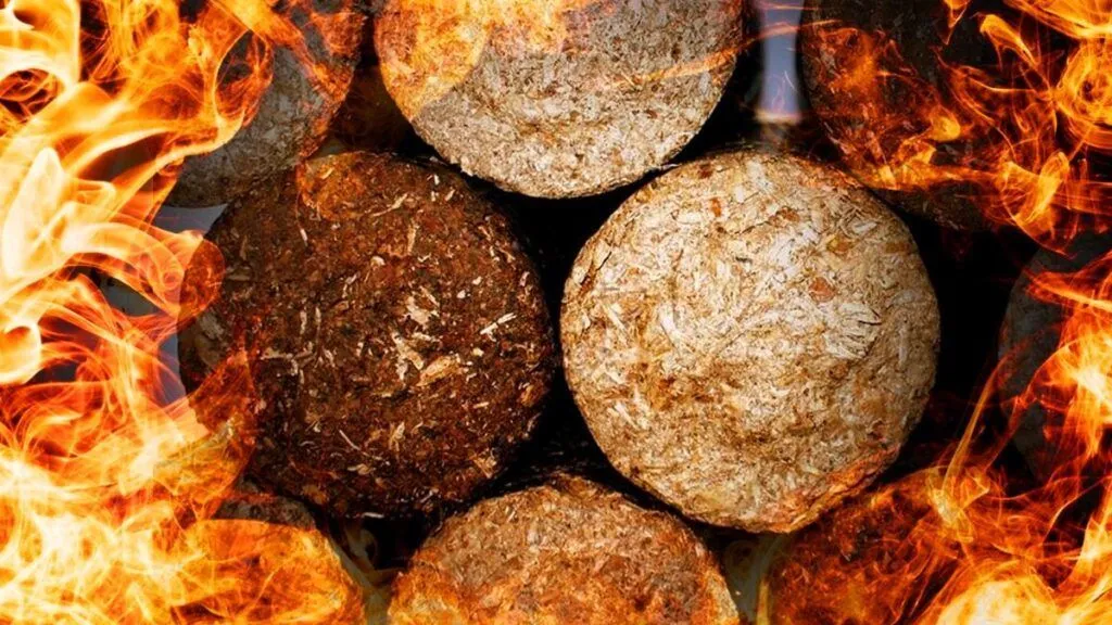 Komprimierte Holzscheite – Heizen neu gedacht